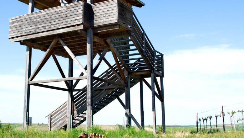 Wooden tower with two people and wooden sculptures of birds in the foreground on a meadow.