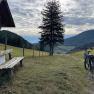 Landscape with bench, tree and bicycle on a hill overlooking the valley.