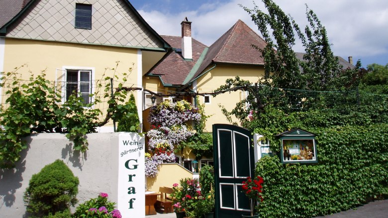 Exterior view of a yellow building with plants and flowers.