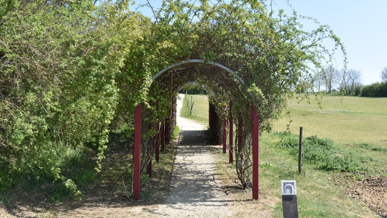 Dionysosweg, © StadtGemeinde Mistelbach / Mag. Mark Schönmann