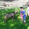 Children with goat, &copy; Ferienbauernhof Schierhuber
