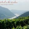 Panoramic view of the Wachau with vineyards and the Danube in the background.