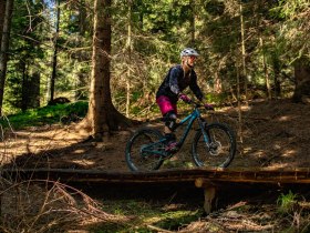 Herrgottschnitzer H&uuml;tte Route #20, &copy; Wexl Trails