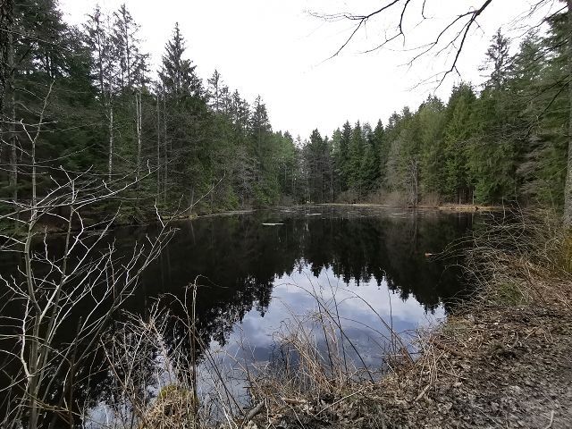 Black pond