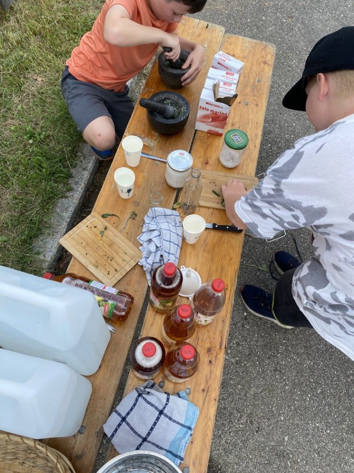 Vacation game