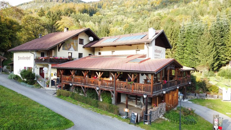 Aerial view of the Forellenhof in a wooded area.