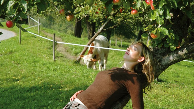 Relax at the Nussbaumerhof, © Streißlberger Josef und Monika Relax at the Nussbaumerhof, © Streißlberger Josef und Monika