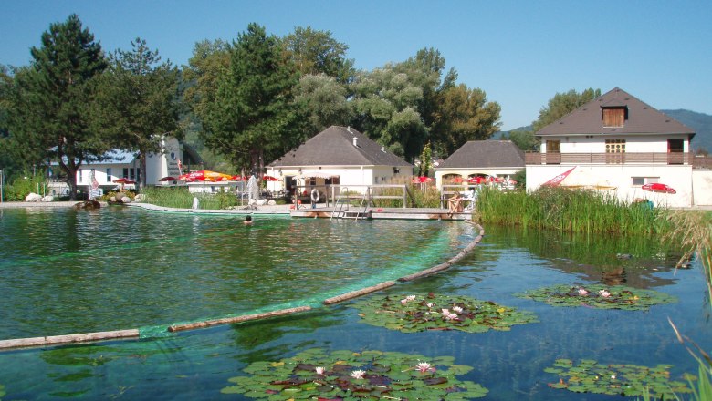 Natural pool with water lilies and buildings in the background.