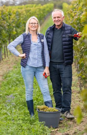 Winzer:in Rosi und Karl Hindler bei der Arbeit im Weingarten in Schrattenthal. 
