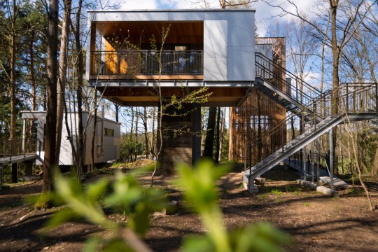 at the Tree House Lodges Schrems, © Baumhaus Lodge Schrems