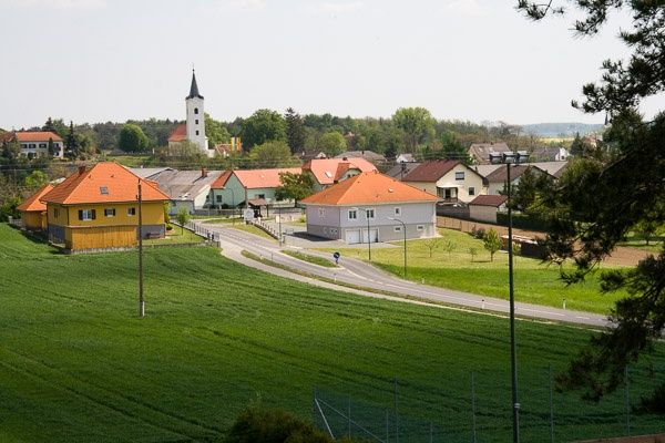 Market Neuhodis