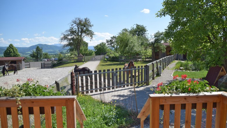 Cozy caravan at the Esperanza farm, &copy; Mag.a Martina Kotzina, Esperanza- Zentrum f&uuml;r tierunterst&uuml;tzte P&auml;dagogik