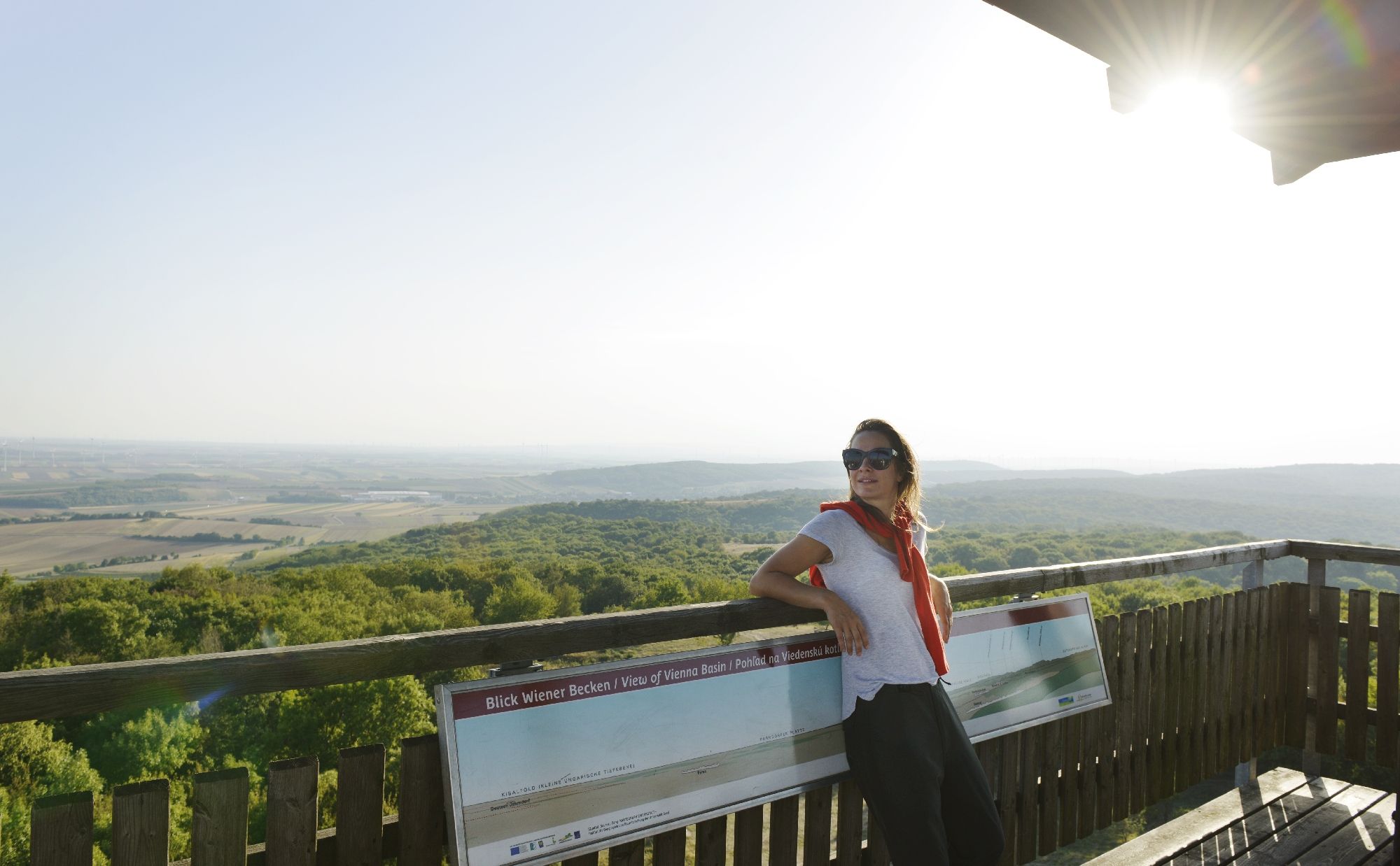 Woman standing on a viewing platform with a view of a vast landscape.