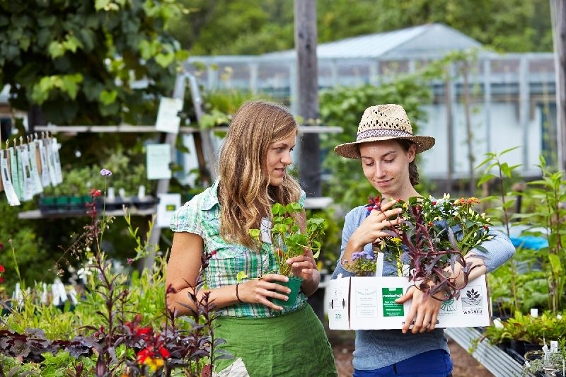 Two women in a garden store, one with a straw hat, hold plants in their hands.
