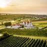 Aerial view of a hotel surrounded by vineyards at sunset.