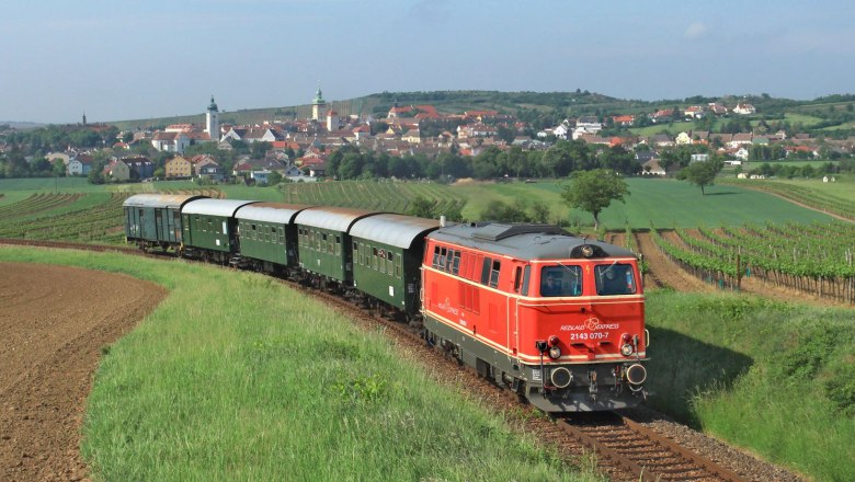 Phylloxera Express, &copy; NB Minibauer
