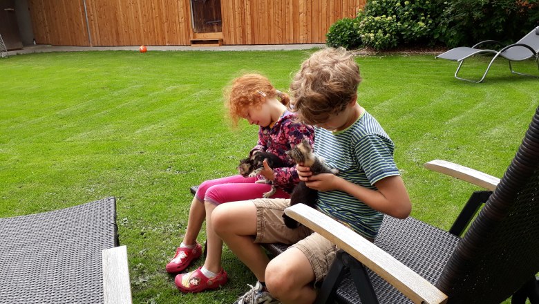 Two children are sitting on deckchairs in the garden, holding small animals in their hands.