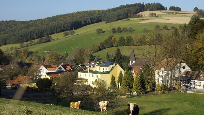 Rural scene with cows in a meadow, village in the background, surrounded by hills and forests.
