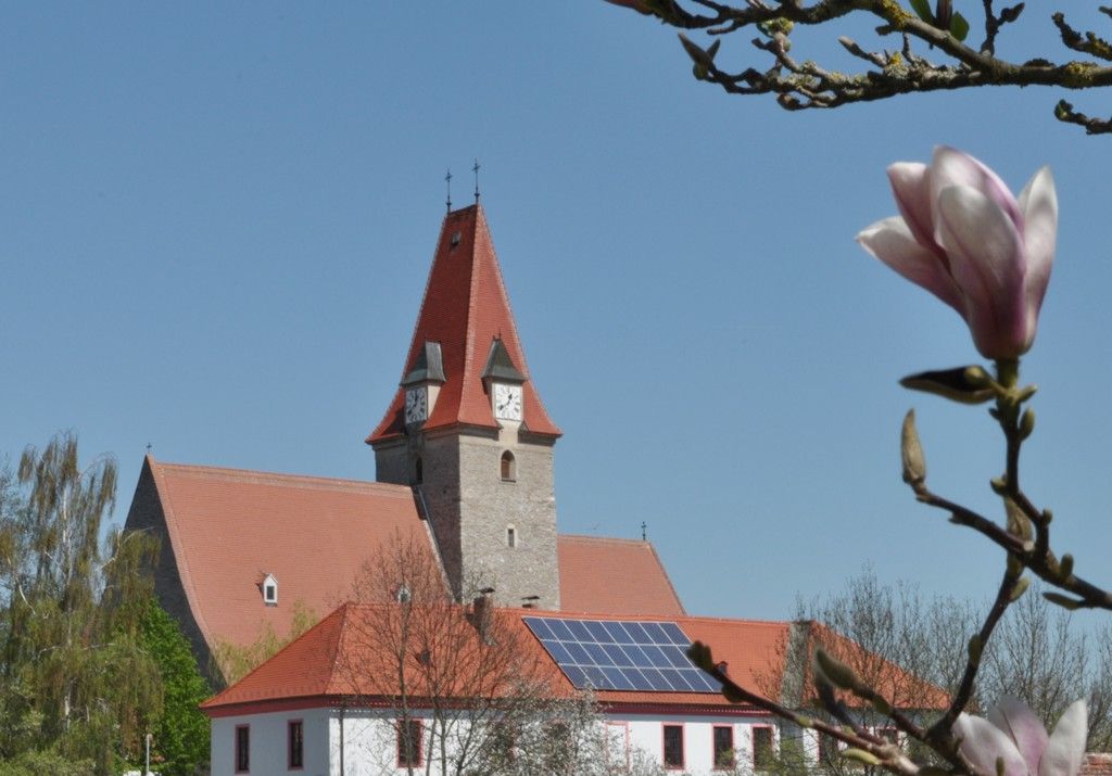 Church with red roof and clock tower, blue sky, magnolia blossom in the foreground.