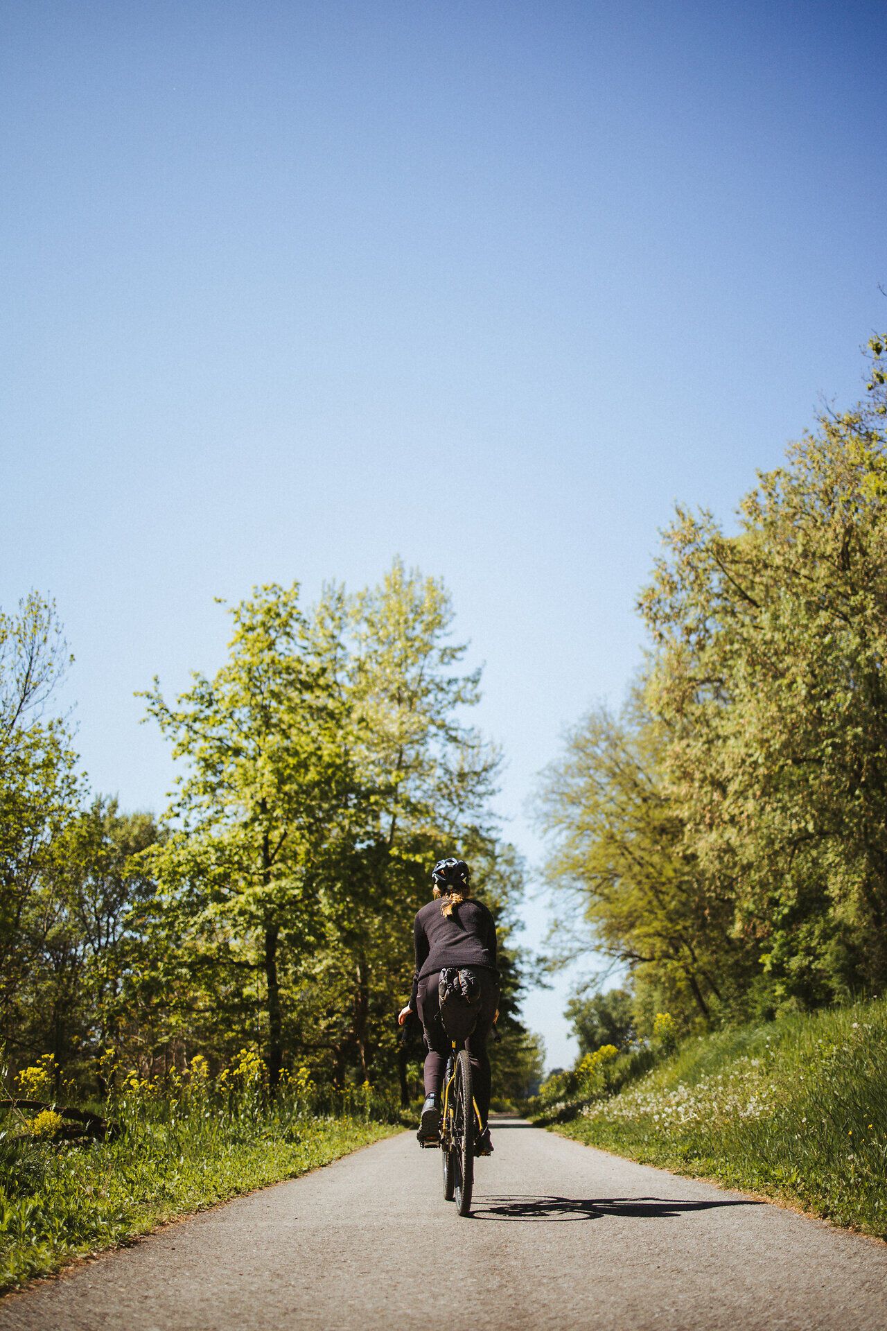 Traisental cycle route, cycling, cycling, just outside Traismauer, Mostviertel
