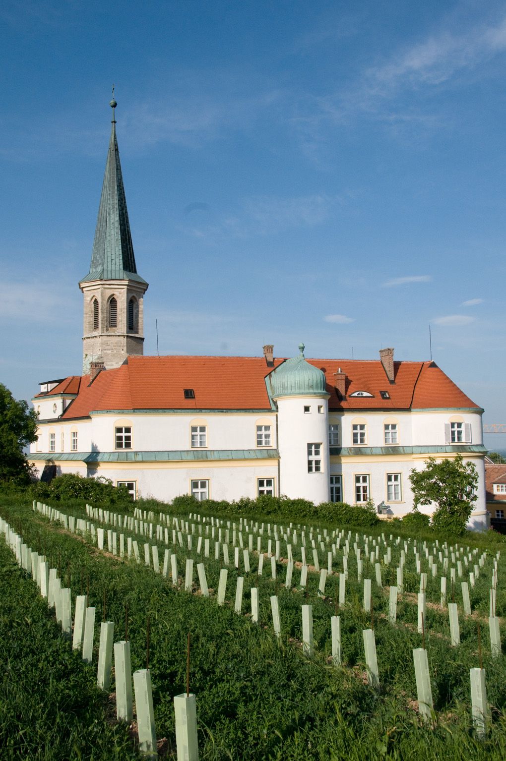 Gumpoldskirchen Castle with its red roof and tower, surrounded by vineyards under a blue sky.