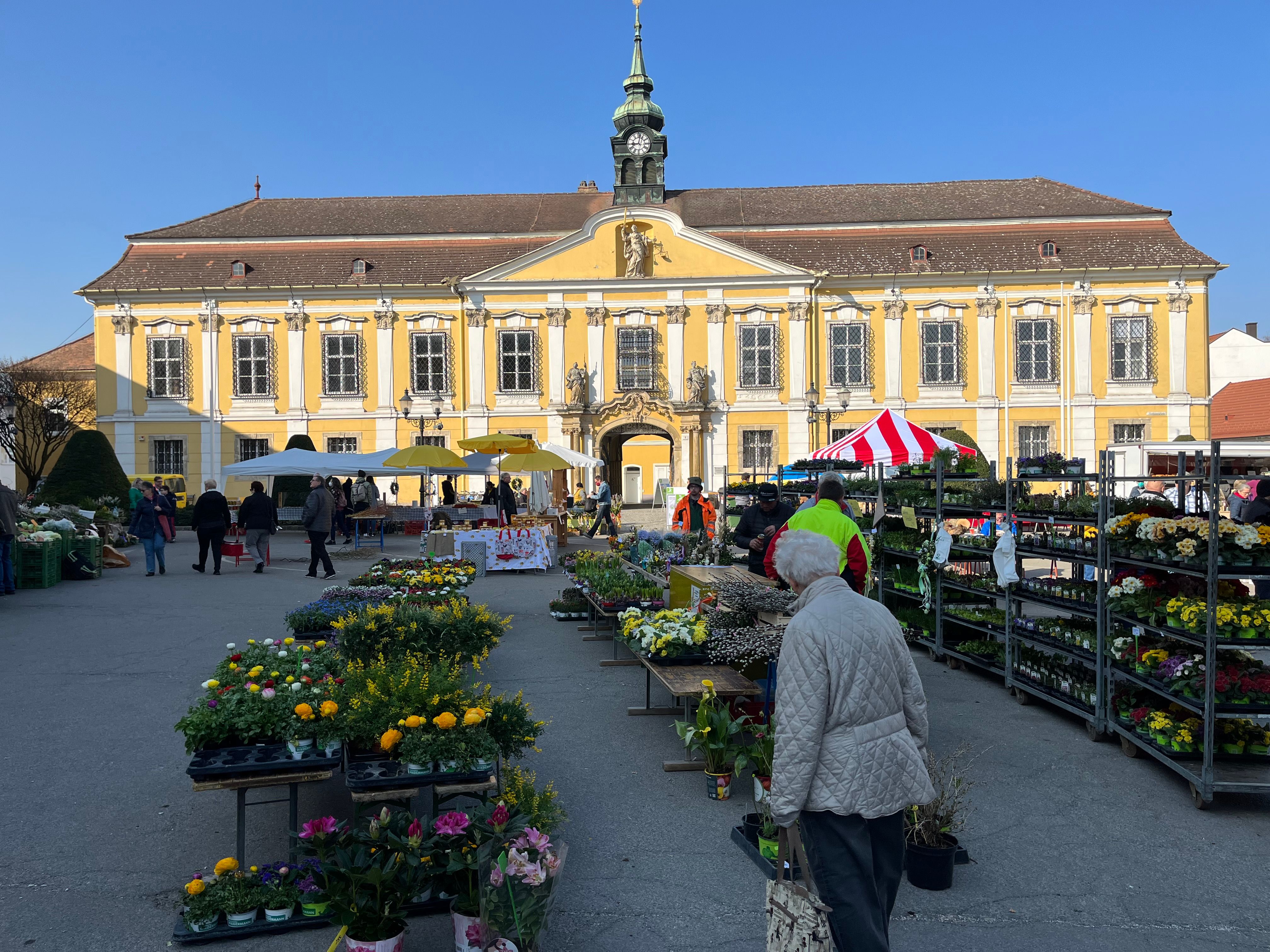 Weekly market in Stockerau with flower stalls in front of a yellow baroque building.
