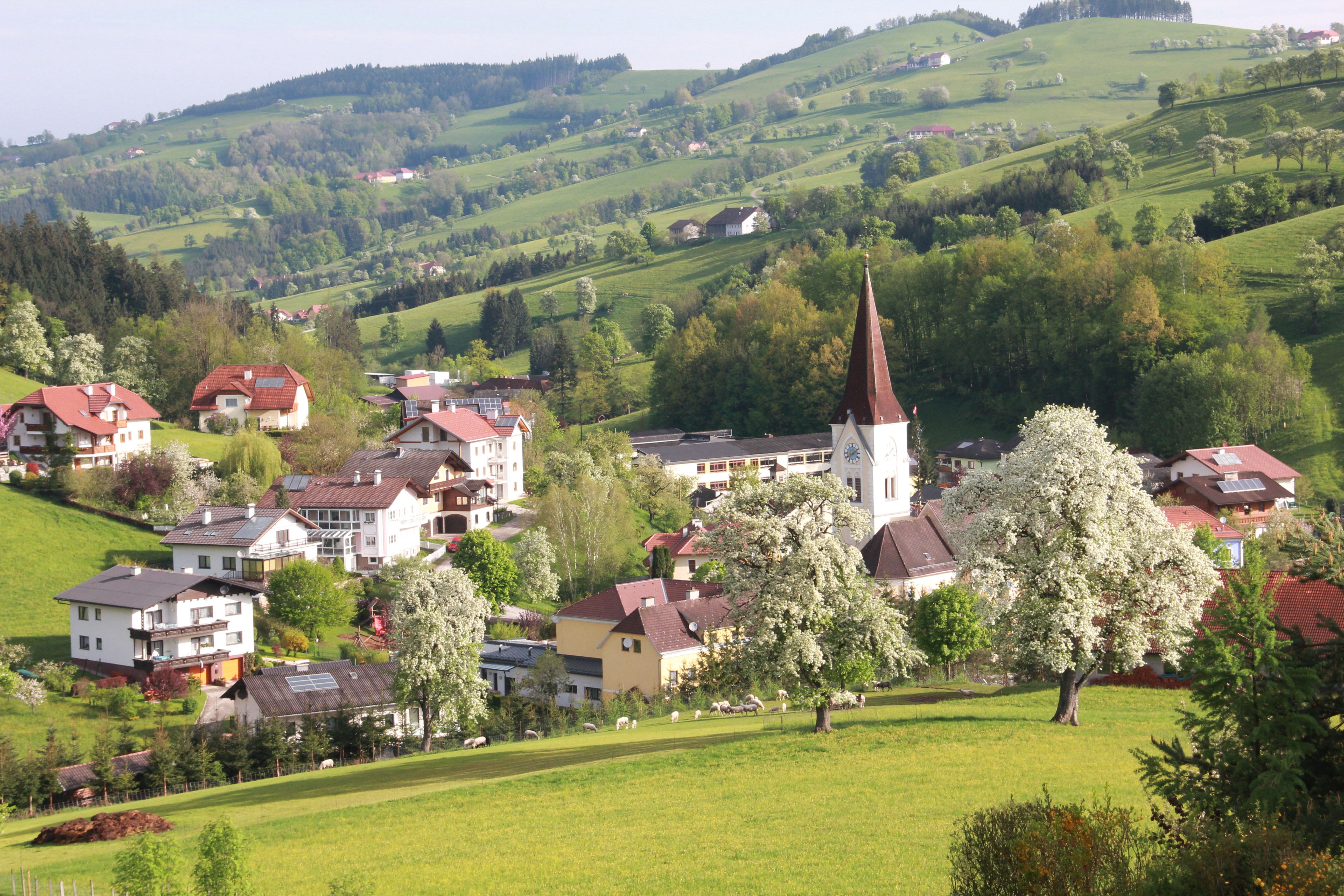 Rural landscape with church and blossoming trees.