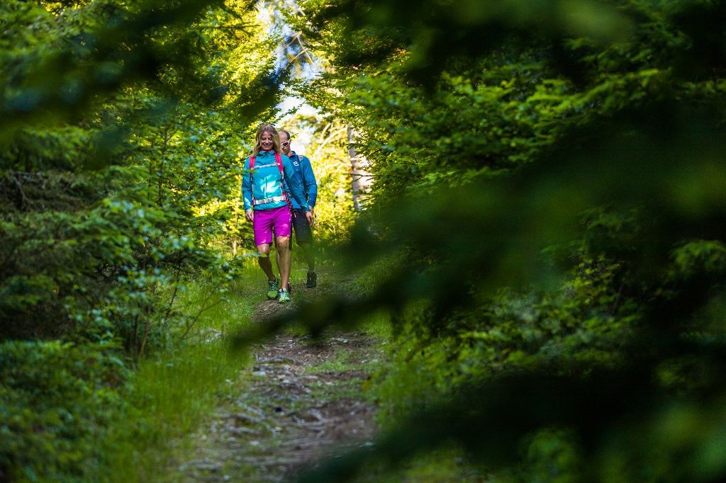 Forest path to Hutwisch