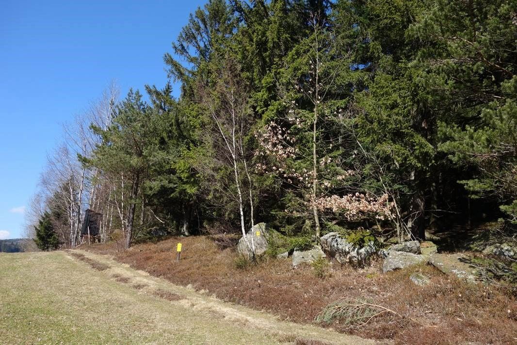 Heart Stone Trail