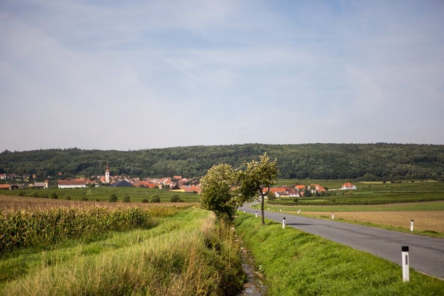 Waitzendorf