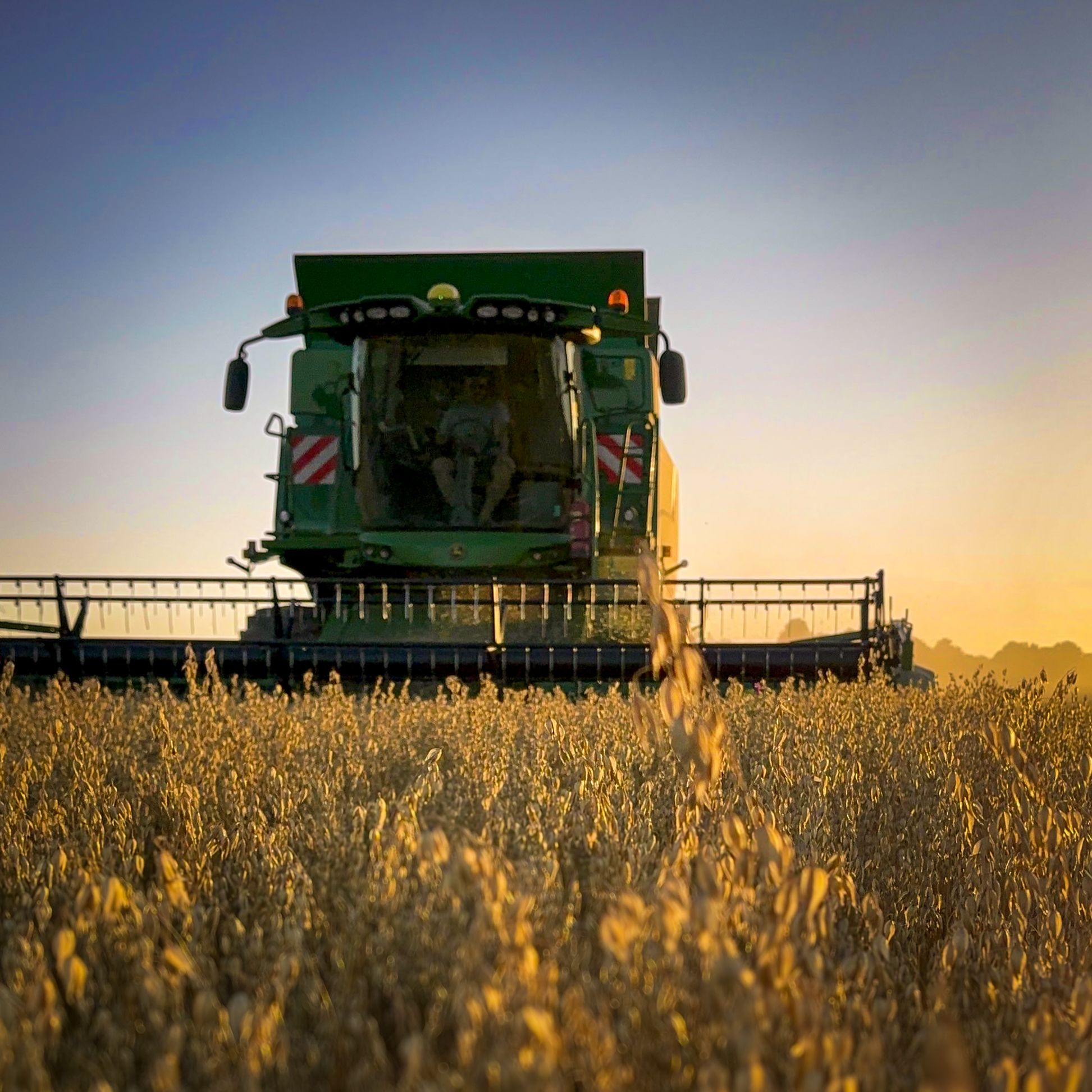 A combine harvester harvests a field at sunset.