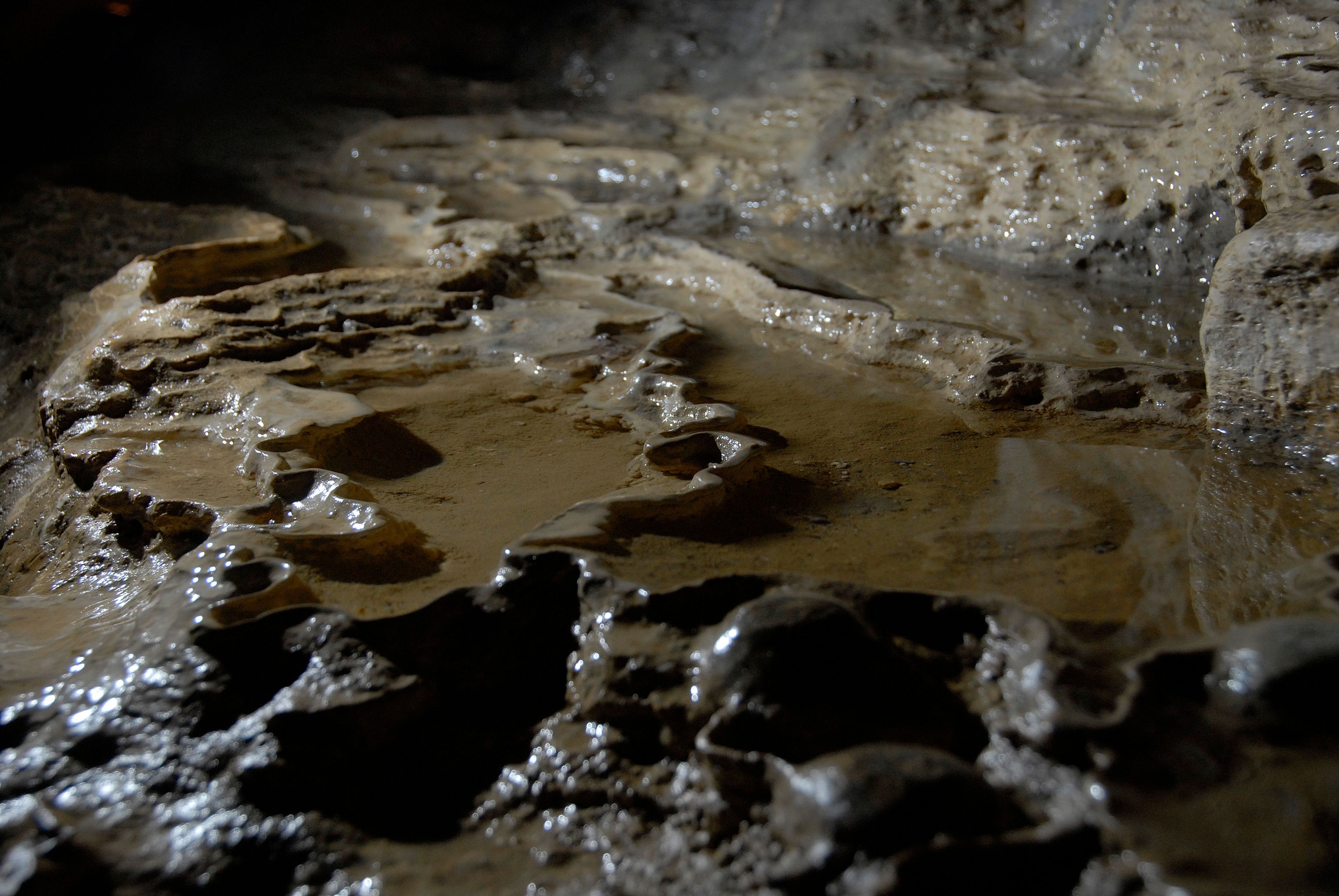 Close-up of smooth, damp rock formations in a cave.