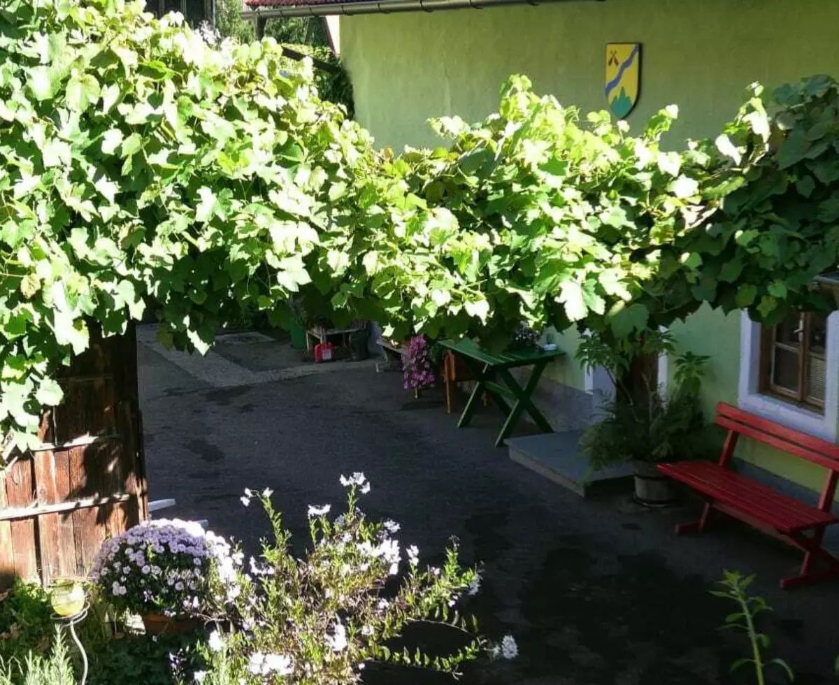 Inner courtyard with flowers and seating