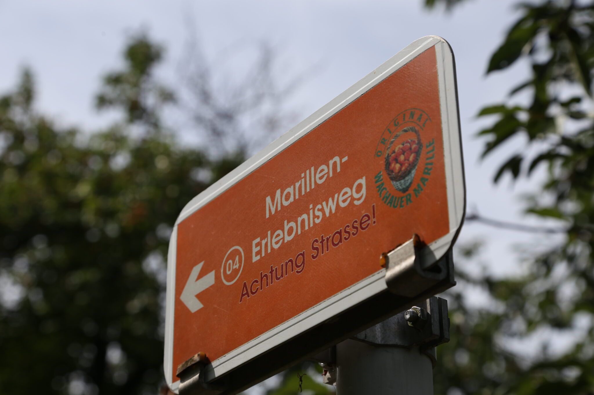 An orange sign with the inscription 'Marillen-Erlebnisweg' and an arrow pointing left. It warns of a road.