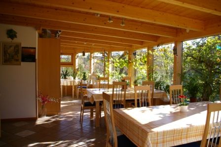 Bright conservatory with wooden furniture and plants.