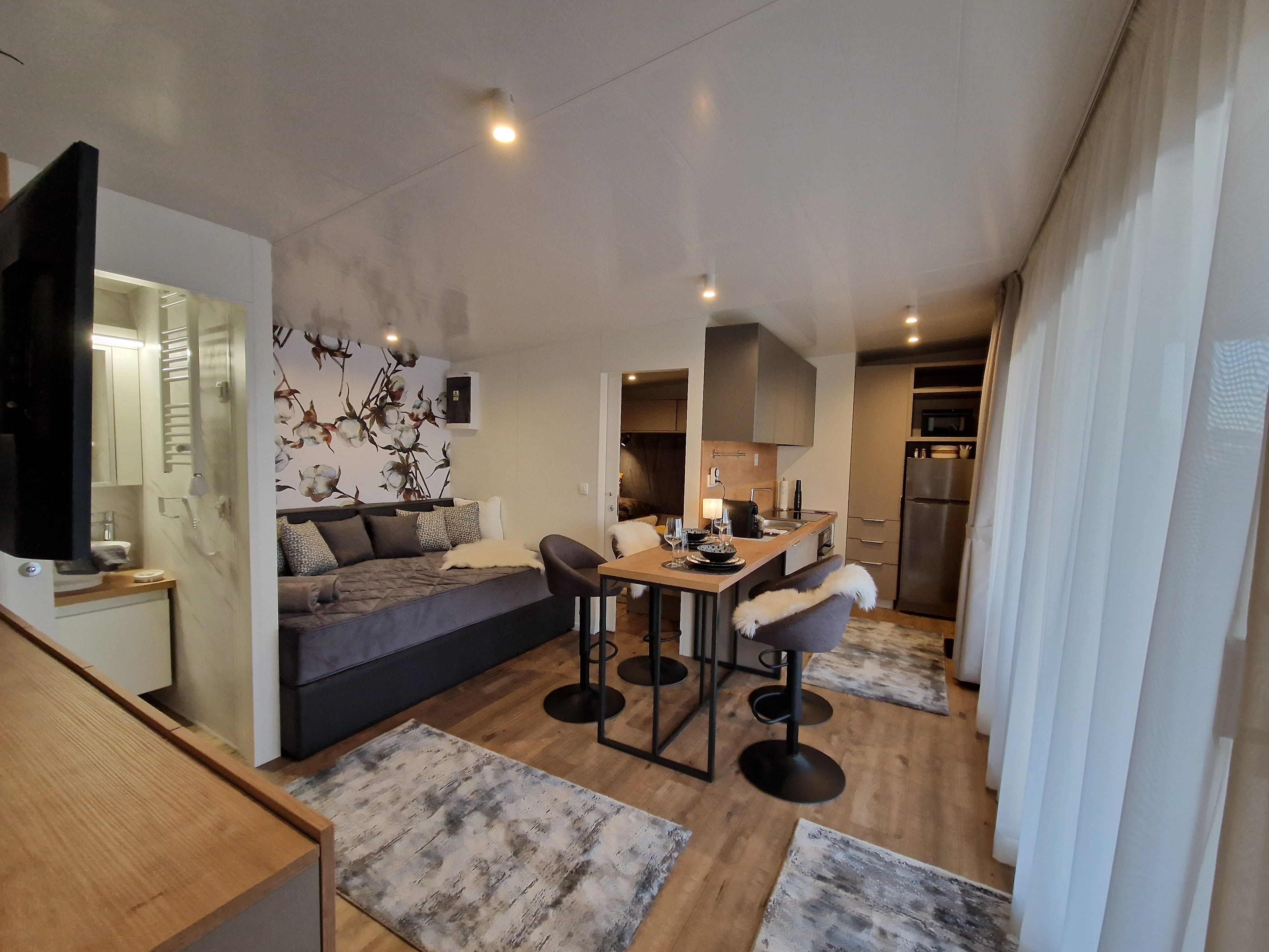 Modern living room with kitchenette, dining table and sofa.