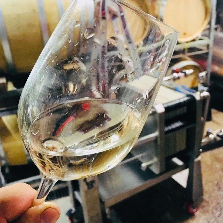 Winery Hannes Hofer