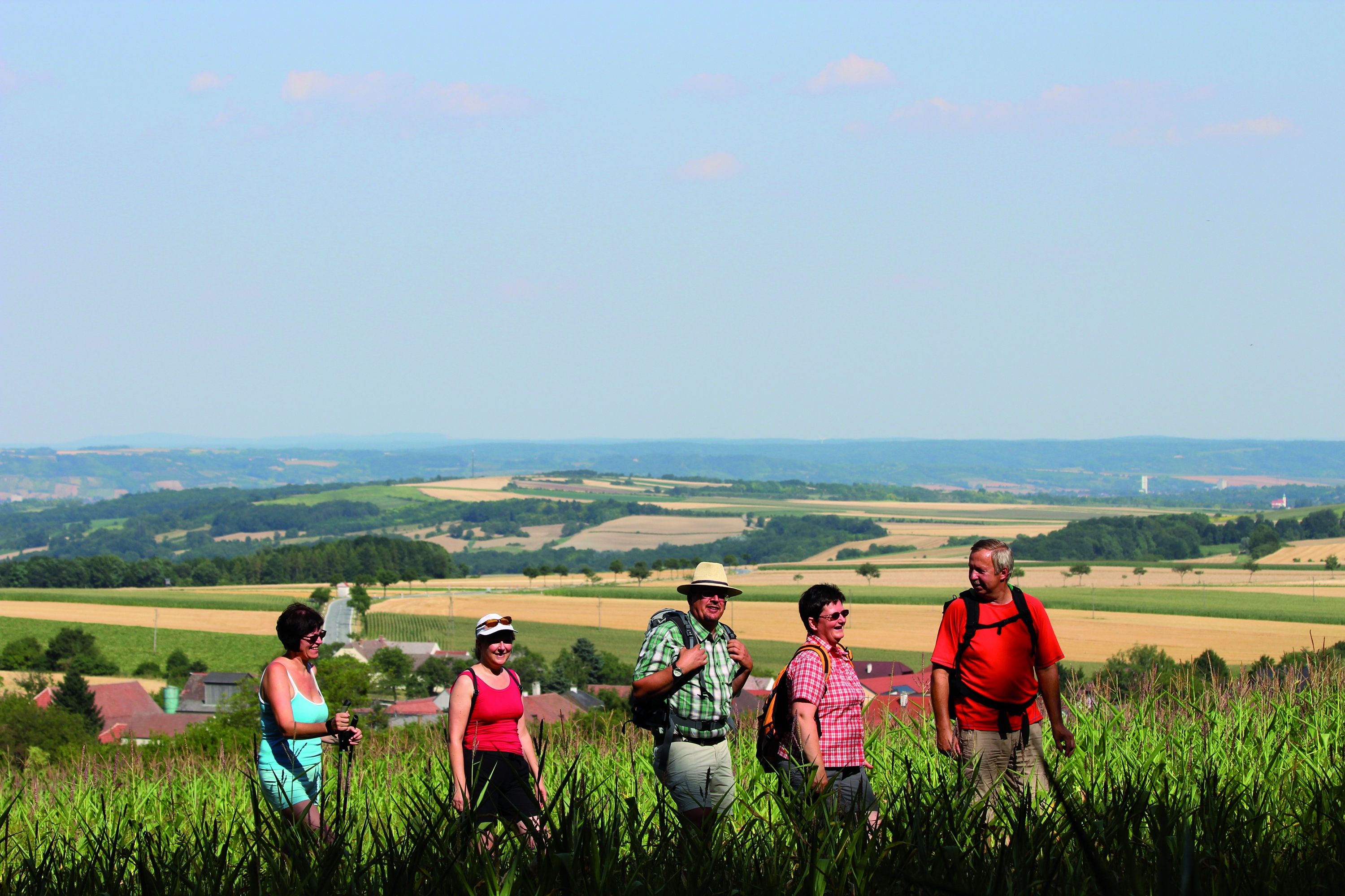 Group of hikers on a country lane with a wide landscape in the background.