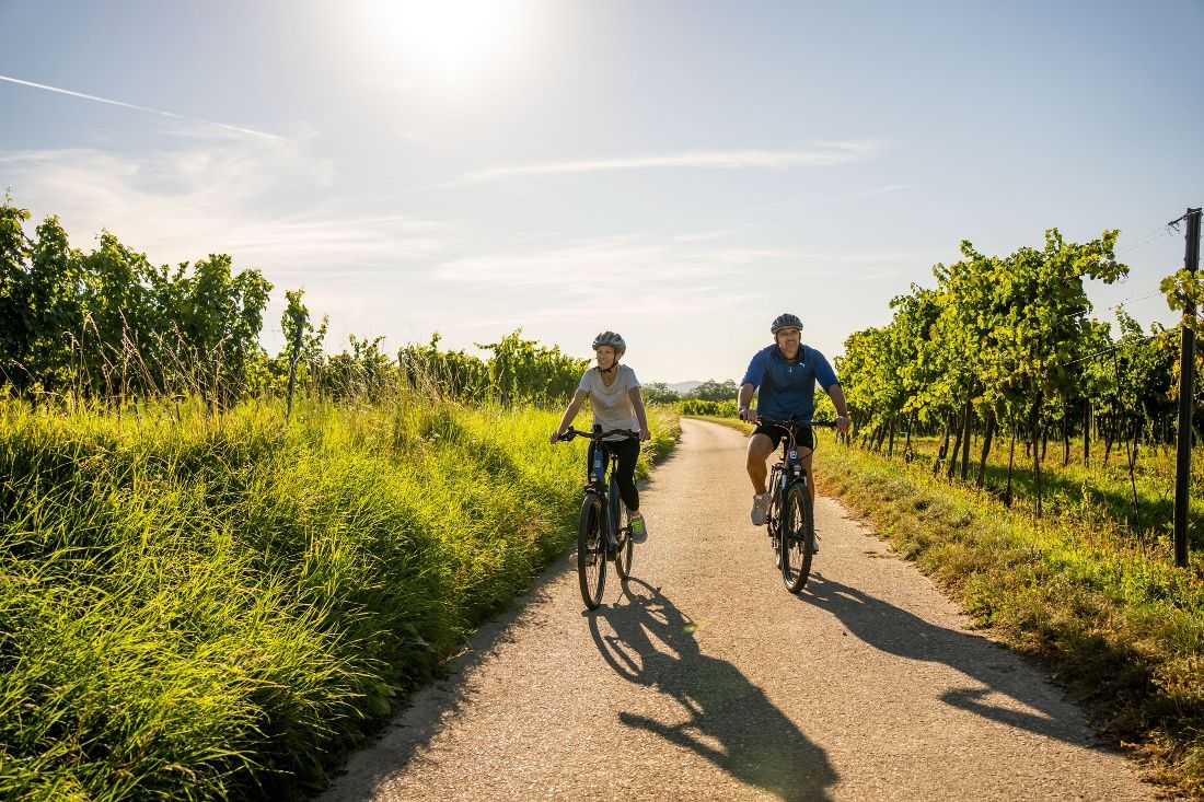 Cycling in the Kamp Valley ("Kamptal" in German)