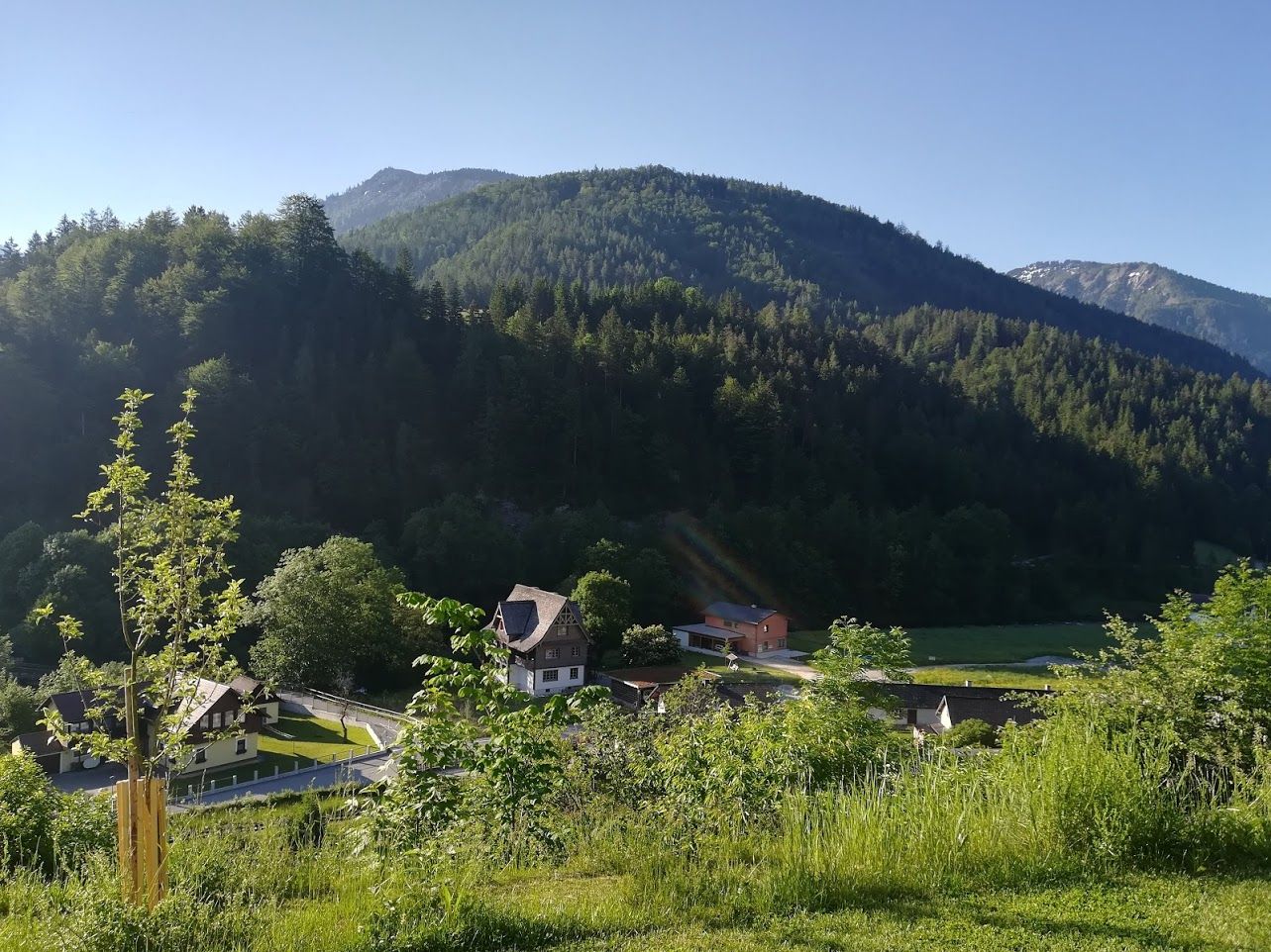 View from the house