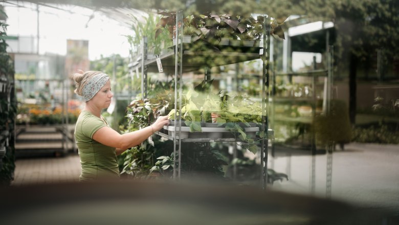 Starkl adventure garden, © Moststraße, dochbodnliacht