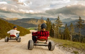 Hurtle down the mountain at top speed in a mountain cart!, © Niederösterreich-CARD/schwarz-koenig.at