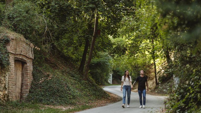 A couple walks along a tree-lined street in a rural setting.