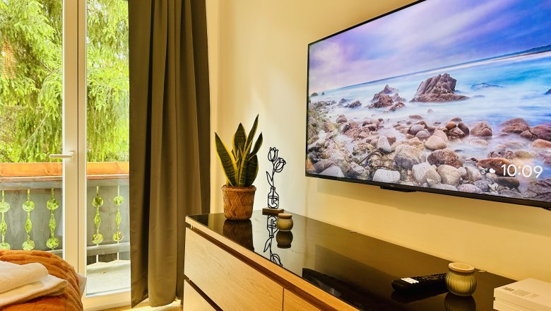 Comfortable room with TV, chest of drawers, plant and balcony view.