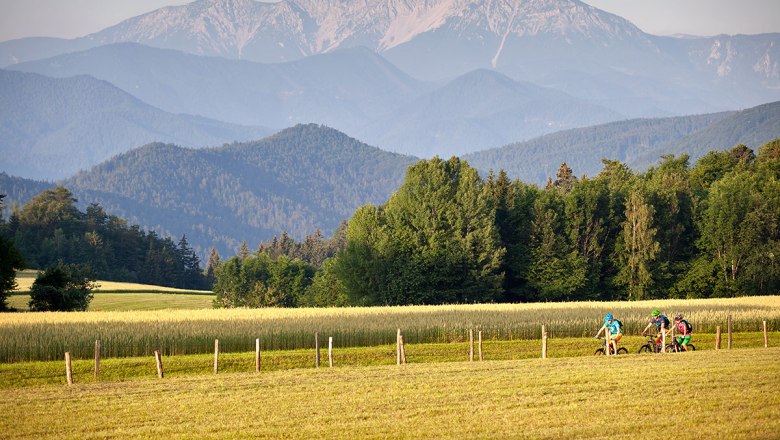 Piestingtal-Radweg, © Wiener Alpen/mountainbikeguides.com