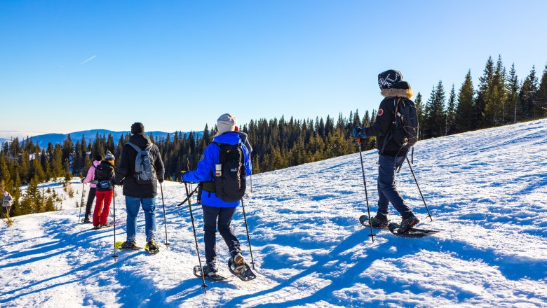 Group of people snowshoeing on a snowy slope with forest in the background.