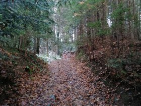 Wexl Arena St. Corona zum Gasthof St. Wolfgang in Kirchberg, &copy; Wiener Alpen in Nieder&ouml;sterreich - Wechsel