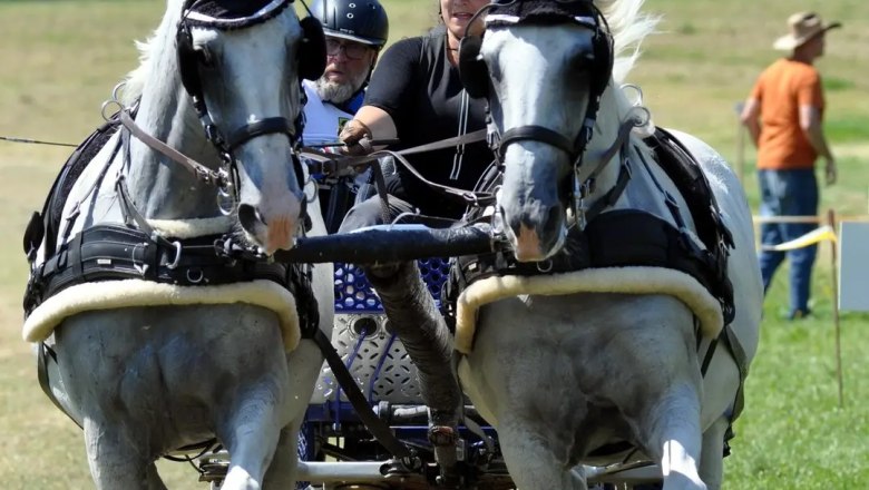 Cross-country test, &copy; Sonja Bauer