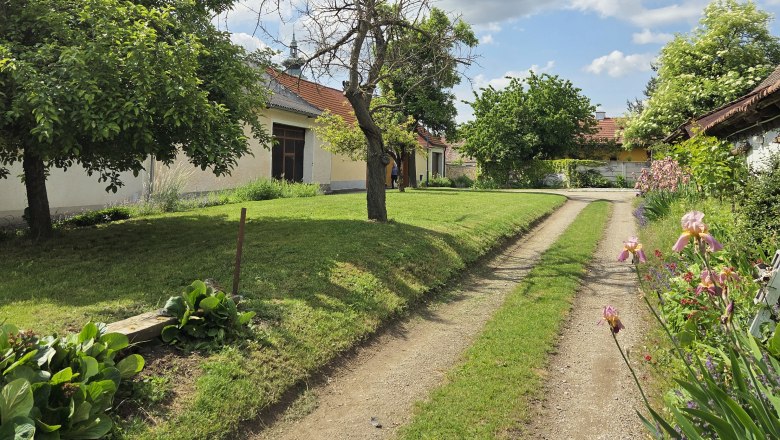 Rural path with trees and flowers, cloudy sky.