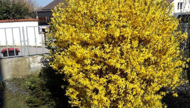 Spring, &copy; privat